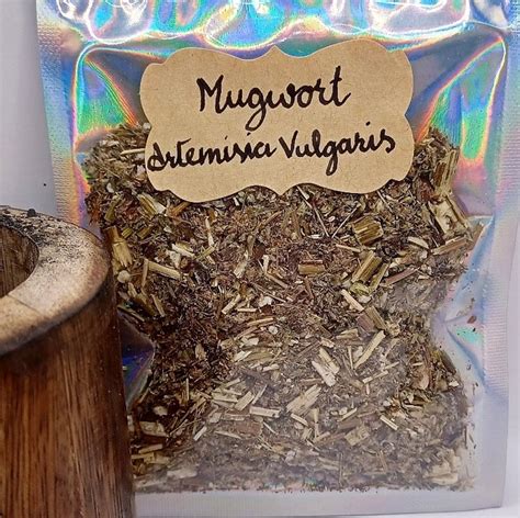 Organic Dried Mugwort Artemisia Vulgaris 25g Healing Herbal Etsy