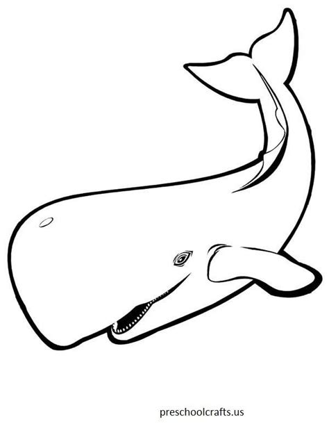 Whale Colour