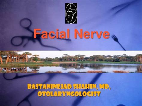 Ppt Facial Nerve Powerpoint Presentation Free Download Id1425133