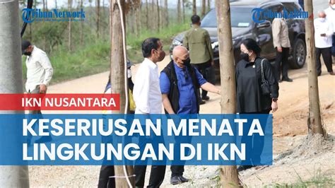 Persemaian Mentawir Keseriusan Menata Lingkungan Di Kalimantan Ikn