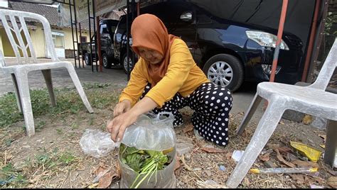 Portal Berita Pemerintah Kota Yogyakarta Rasakan Manfaatnya Gerakan