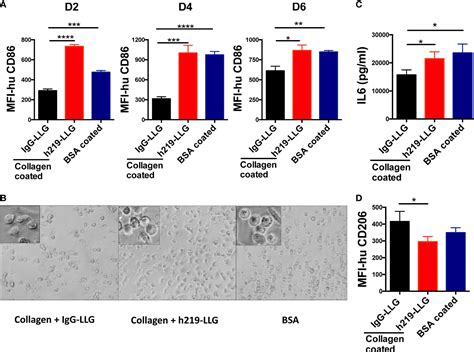 Frontiers Blocking LAIR1 Signaling In Immune Cells Inhibits Tumor