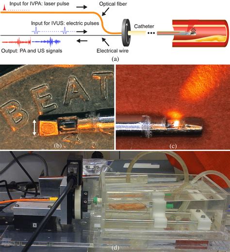 Combined Intravascular Photoacoustics Ivpa And Intravascular