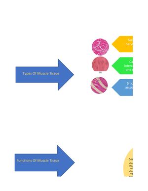 PNS Concept Map 05 23 Simona Levin Hynes Nursing Interventions 8