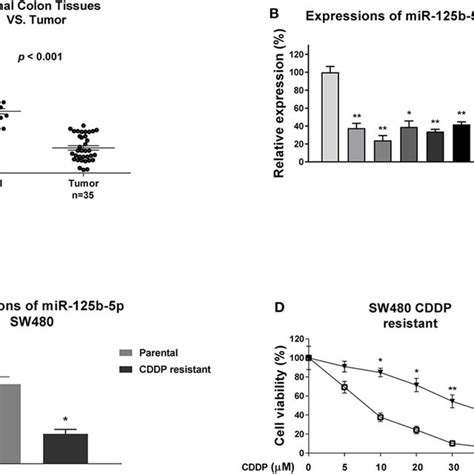 Mir 125b 5p Is Negatively Associated With Colon Cancer And Cisplatin Download Scientific