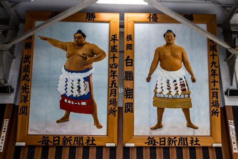 Visit Sumo wrestling training in Japan - E&T Abroad