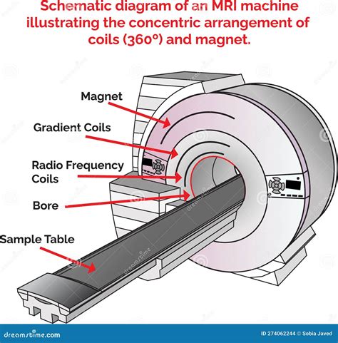 Schematic Diagram of an MRI Machine Illustrating the Concentric ...