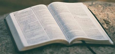 Библия за год