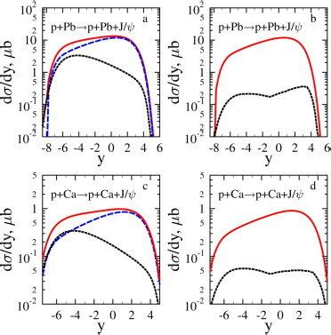 Rapidity distribution for J ψ meson photoproduction in pPb and pCa UPC