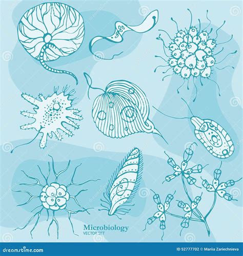 Microbiology Protozoa Organisms Vector Set