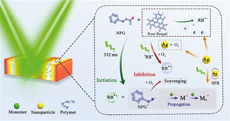 Schematic illustrating the mechanism of photopolymerization containing ... 