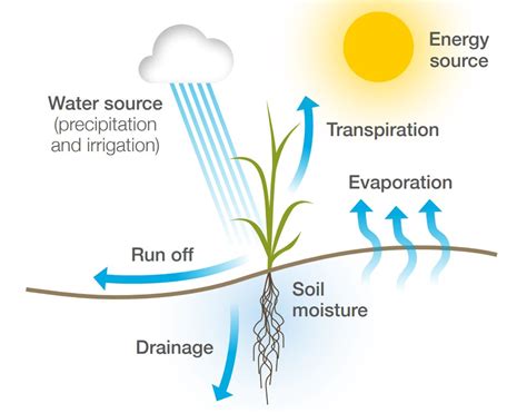 Water And Soils Ahdb