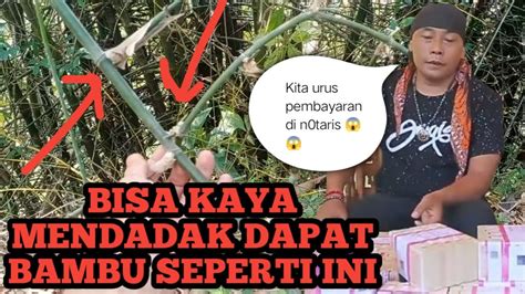 Ciri Bambu Petuk Asli Paul Hendrawan YouTube