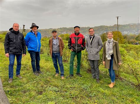 Landkreisnachrichten Baden Württemberg Verlängerung ist Ernte