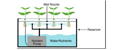 Low Vs High Pressure Aeroponic Systems Hydro Unlimitedcom