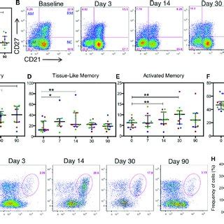 Frequency Of B Cells Before And During Acute HIV 1 Subtype C