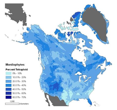 4. Percent tetraploids. Note the poor relationship with latitude ...