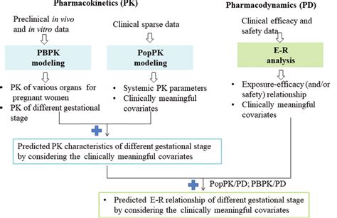 The Application Of Pharmacometrics Approaches In Pregnant Women A Download Scientific Diagram