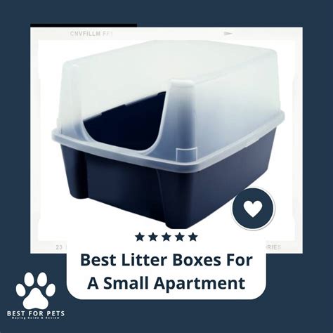 11 Best Litter Boxes For A Small Apartment In 2023