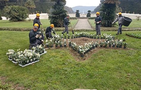 Il Gennaio C Dialoghi Con La Reggia Per Parlare Delle Fioriture