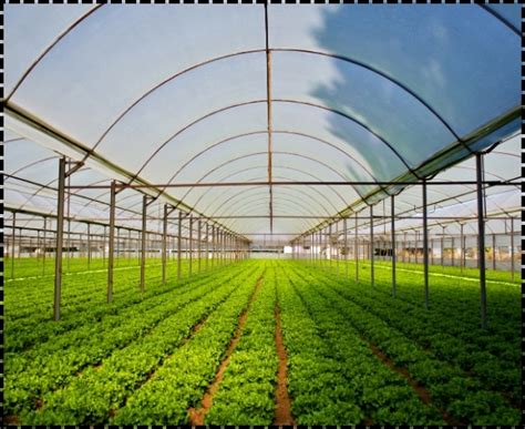 Winter Tourism at Bharatvarsh Nature Farms: Nature's Retreat