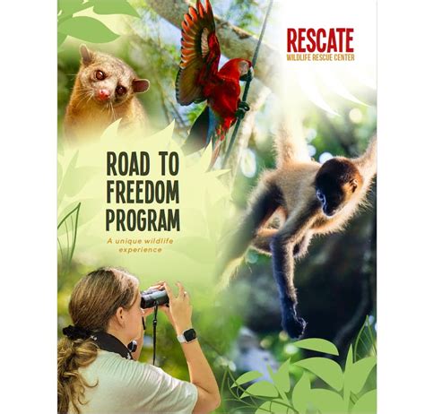 Endangered Animals Road To Freedom Internship | Volunteer in Costa Rica ...