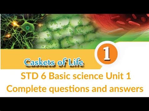 Std Basic Science Unit Caskets Of Life Complete Questions And