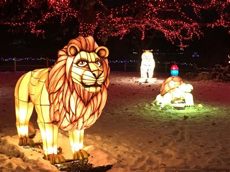 Hogle Zoo ZooLights – Enchanté