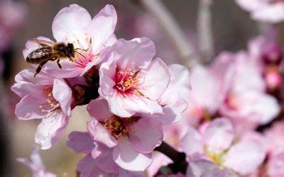 Planes de abonado JISA Fertilizantes agrícolas Agronutrientes