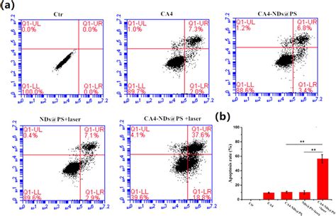 A Apoptosis Inducing Effects With Different Formulations On Hepg