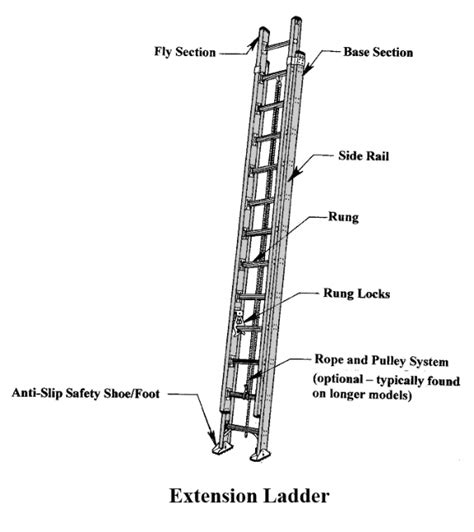 Extension Ladder American Ladder Institute