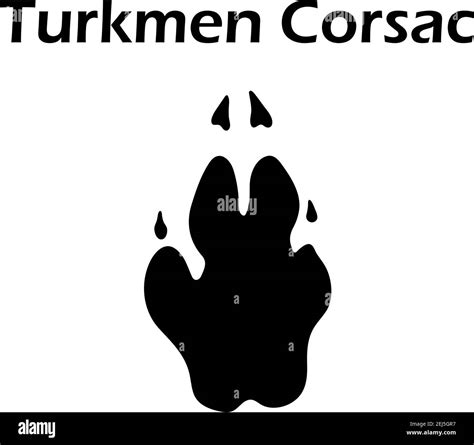 Turkmen Corsac Footprint Black Silhouette Design Vector Illustration