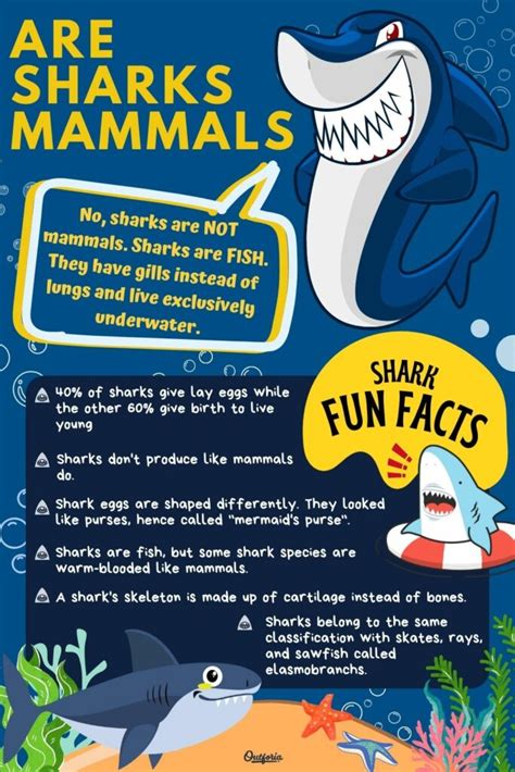 Are Sharks Mammals or Fish? Debunking the Misconception