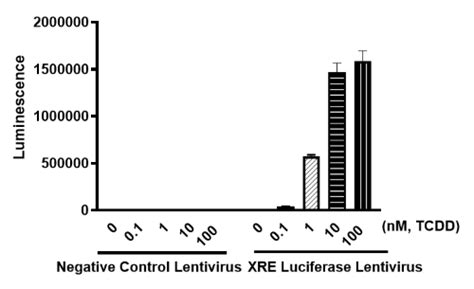 Xre Luciferase Reporter Lentivirus Ahr Signaling Bps Bioscience