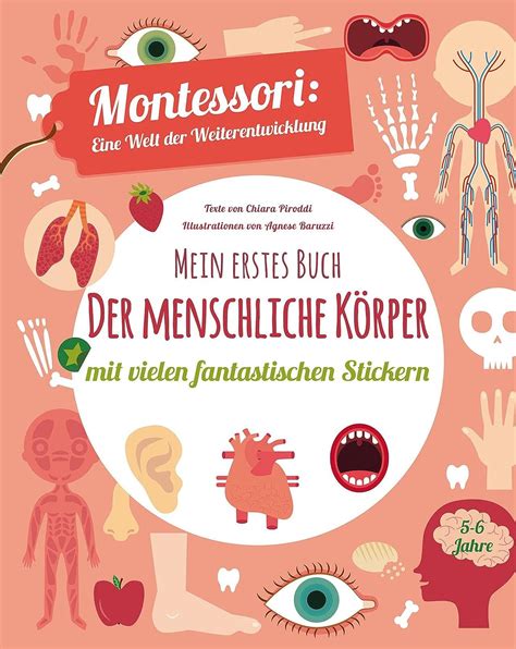 Mein Erstes Buch Der Menschliche K Rper Montessori Eine Welt Der