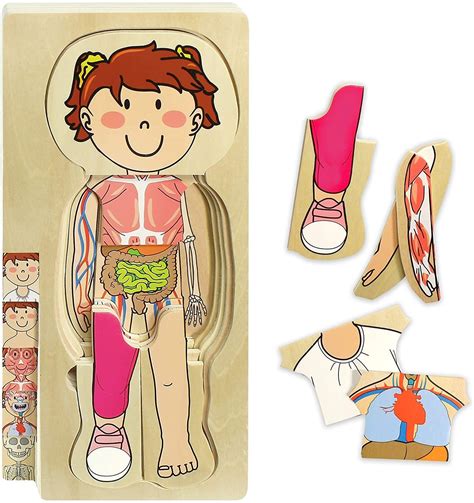 My Body Layer Wooden Puzzle A Mighty Girl