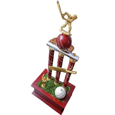 Maroon Golden And Silver Rectangular Brass MDF Cricket Trophy For