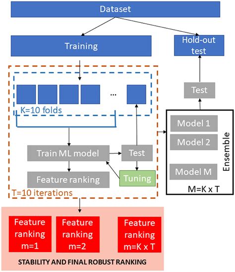 Frontiers Brain Age Prediction With Morphological Features Using Deep