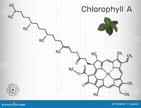 Chlorophyll A Chlorophyll Molecule It Is Photosynthetic Pigment Used