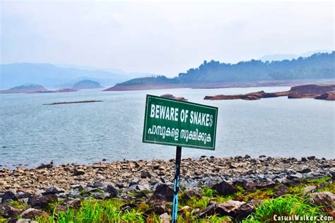 Banasura Sagar Dam Wayanad Largest Earth Dam In India Kerala Hill