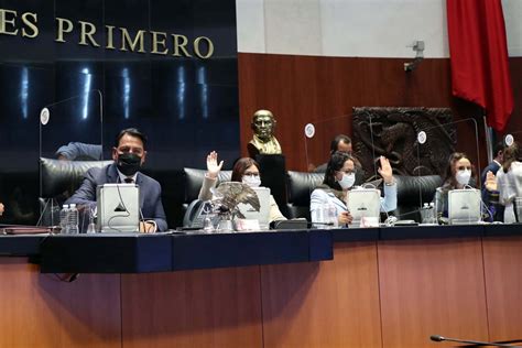 Primera Sesión Ordinaria De La Cámara De Senadores Del 29 De Abril De 2021