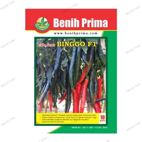 Jual Benih Cabe Besar Hibrida Tahan Virus Binggo F Shopee Indonesia