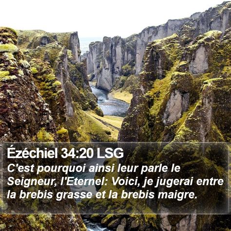 Ézéchiel 34 20 LSG Cest pourquoi ainsi leur parle le Seigneur