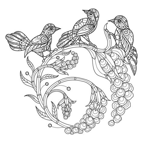 Coloring Pages Of Flowers And Birds