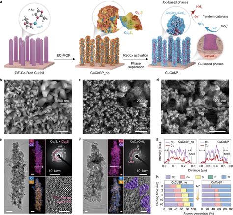 Structural Characterizations Of Catalysts A Schematic Illustration Of