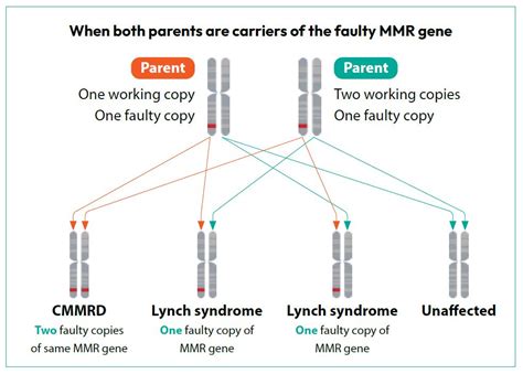 Lynch Syndrome