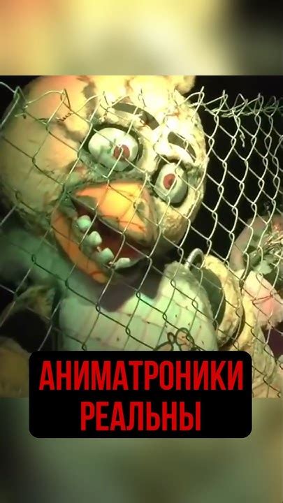РЕАЛЬНЫЕ АНИМАТРОНИКИ ИЗ ФНАФ #fnaf #пятьночейуфредди #фнаф # ...
