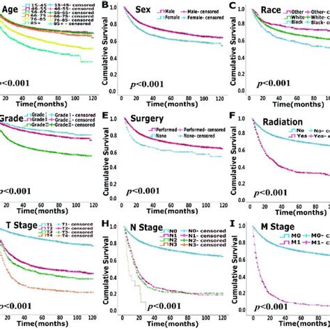 Uni Variate Survival Analysis Of Cancer Specific Survival CSS In