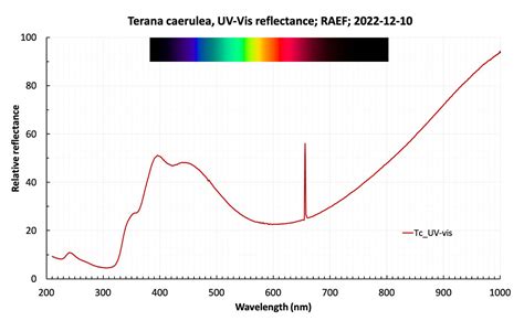 Terana Caerulea Uv Vis Reflectance Spectrum This Shows Th Flickr