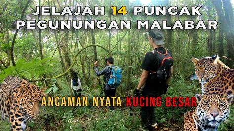 Jelajah Puncak Pegunungan Malabar Nekad Melewati Habitat Macan